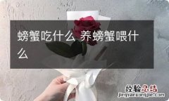 螃蟹吃什么 养螃蟹喂什么