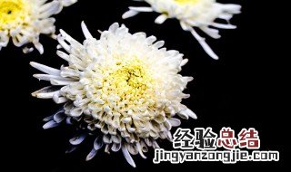 奶奶一路走好的话语 奶奶一路走好的话语分享