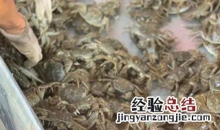 大闸蟹冷冻能保存多久 大闸蟹冷冻保鲜多久
