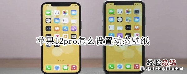 苹果12pro怎么设置动态壁纸