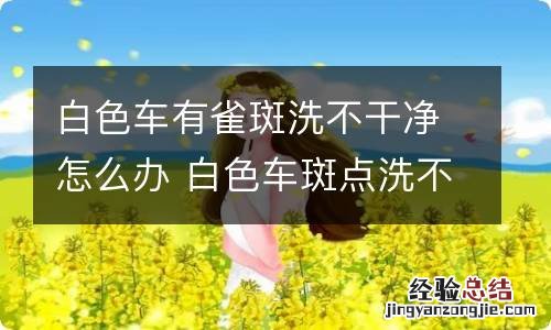 白色车有雀斑洗不干净怎么办 白色车斑点洗不干净怎么办