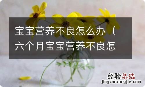 六个月宝宝营养不良怎么办 宝宝营养不良怎么办