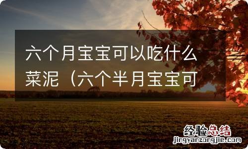 六个半月宝宝可以吃什么菜泥 六个月宝宝可以吃什么菜泥