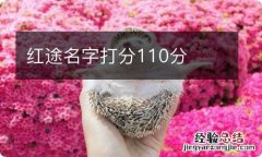 红途名字打分110分