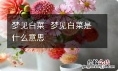 梦见白菜梦见白菜是什么意思