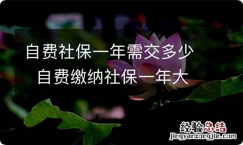 自费社保一年需交多少自费缴纳社保一年大概需要多少钱