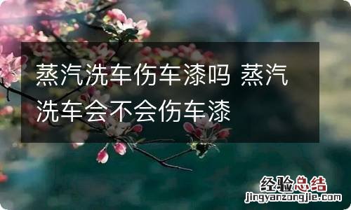 蒸汽洗车伤车漆吗 蒸汽洗车会不会伤车漆