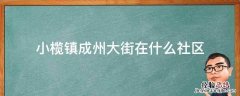 小榄镇成州大街在什么社区