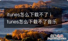 itunes怎么下载不了 itunes怎么下载不了音乐