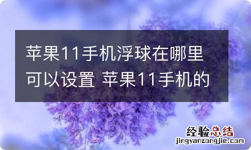 苹果11手机浮球在哪里可以设置 苹果11手机的悬浮球在哪里可以设置