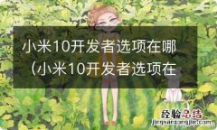 小米10开发者选项在哪里开启 小米10开发者选项在哪