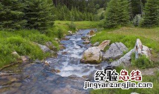 梦见水坑 梦见水坑是什么意思