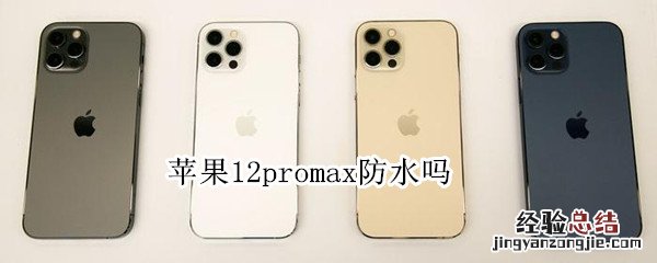 苹果12promax防水吗