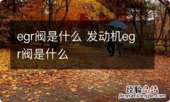 egr阀是什么 发动机egr阀是什么