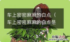 车上密密麻麻的白点是什么 车上密密麻麻的白点