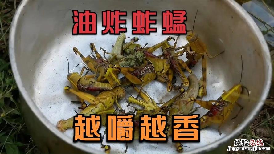 蚱蜢吃什么食物