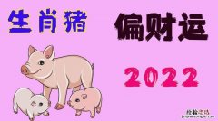 猪年属猪戴什么