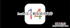 ios14怎么删除描述文件