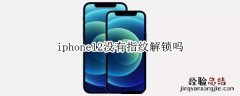 iphone12没有指纹解锁吗