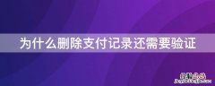 为什么删除支付记录还需要验证