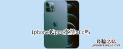 iphone12pro支持nfc吗