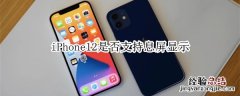 iPhone12是否支持息屏显示