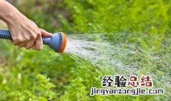 冬天蔬菜要浇水吗为什么 冬天蔬菜要浇水吗