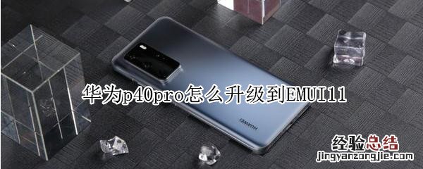 华为p40pro怎么升级到EMUI11