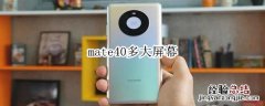 mate40多大屏幕