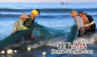 野生鳗和养殖鳗的区别 野生河鳗和养殖河鳗怎么区分