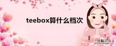 teebox算什么档次