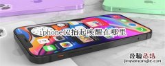 iphone12抬起唤醒在哪里