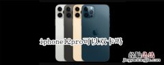 iphone12pro可以双卡吗