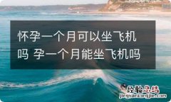 怀孕一个月可以坐飞机吗 孕一个月能坐飞机吗