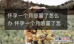 怀孕一个月感冒了怎么办 怀孕一个月感冒了怎么办喉咙痛咳嗽鼻塞