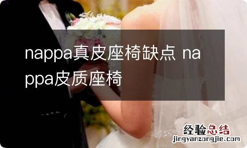 nappa真皮座椅缺点 nappa皮质座椅