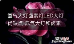 氙气大灯卤素灯LED大灯优缺点 氙气大灯和卤素灯