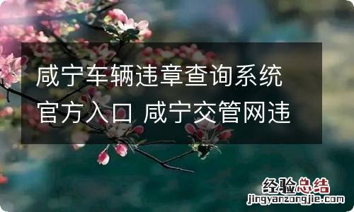 咸宁车辆违章查询系统官方入口 咸宁交管网违章查询