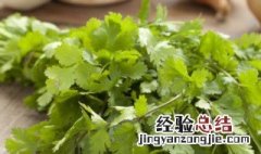 保存香菜的方法 怎么存放香菜