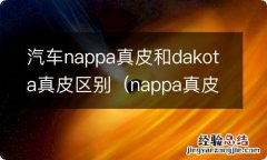 nappa真皮和普通真皮 汽车nappa真皮和dakota真皮区别