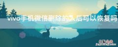 vivo手机微信删除的人后可以恢复吗