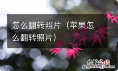 苹果怎么翻转照片 怎么翻转照片