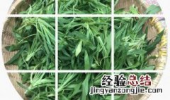 柳叶茶的制作方法 柳叶茶的制作方法是什么