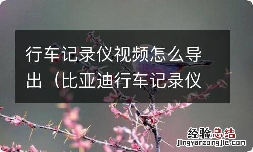 比亚迪行车记录仪视频怎么导出 行车记录仪视频怎么导出