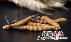 吃冬虫夏草的禁忌是什么意思 吃冬虫夏草的禁忌是什么