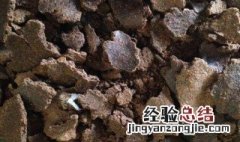 茶籽饼的功效与作用冲凉 茶籽饼的功效与作用