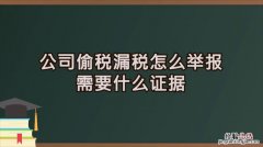 企业偷税漏税向哪里举报信