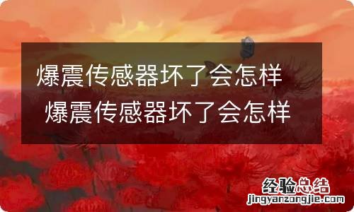 爆震传感器坏了会怎样 爆震传感器坏了会怎样爆震传感器需不需要冷却水