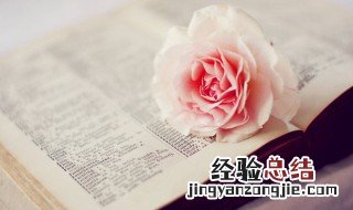 晚安发朋友圈的好句子 发朋友圈的晚安说说