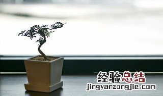 花盆垫怎么做 用什么做比较好